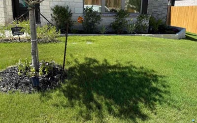 Photo of Omar O.'s yard after getting lawn care in Lexington, NC