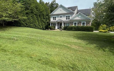 Photo of Jacqueline G.'s yard after getting lawn care in Stafford, VA