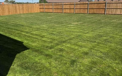 Photo of Chelsea R.'s yard after getting lawn care in Sanger, TX