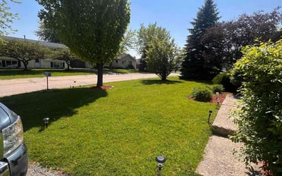 Photo of Ethan H.'s yard after getting lawn care in Zion, IL