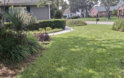 Photo of Cathy S.'s yard after getting lawn care in Keystone Heights, FL