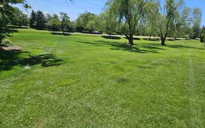 Photo of Steve G.'s yard after getting lawn care in Redford, MI