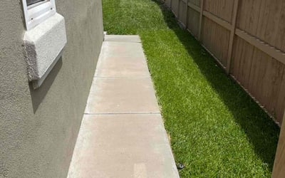 Photo of Linda R.'s yard after getting lawn care in Del Mar, CA