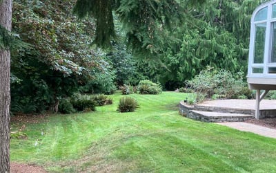 Photo of Mary S.'s yard after getting lawn care in Woodinville, WA