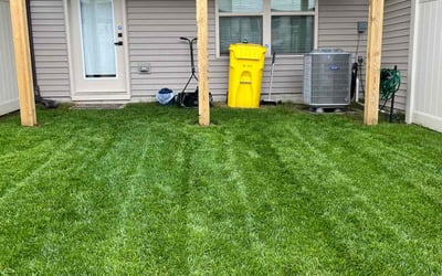 Photo of Temi B.'s yard after getting lawn care in Severn, MD