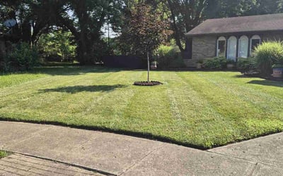 Photo of Dorean K.'s yard after getting lawn care in Freehold, NJ