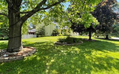 Photo of Lindsey G.'s yard after getting lawn care in Big Lake, MN
