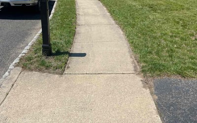 Photo of Daniel G.'s yard after getting lawn care in Loma Linda, CA