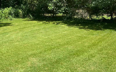 Photo of Stacy B.'s yard after getting lawn care in Clarkston, GA