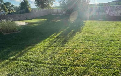 Photo of Max P.'s yard after getting lawn care in Omaha, NE