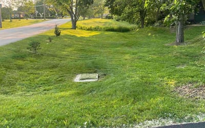 Photo of Dawn V.'s yard after getting lawn care in Alexandria, KY