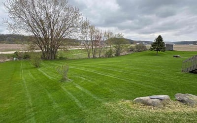 Photo of Patricia S.'s yard after getting lawn care in Oak Park, MI