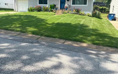 Photo of Jim P.'s yard after getting lawn care in Bradenton, FL