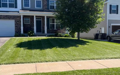 Photo of Austin S.'s yard after getting lawn care in Zimmerman, MN