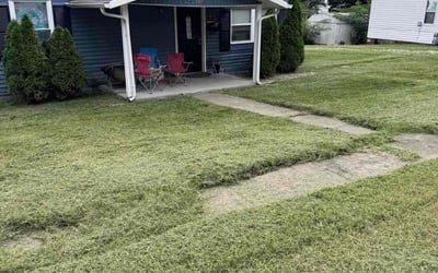 Photo of Suzy E.'s yard after getting lawn care in Petaluma, CA
