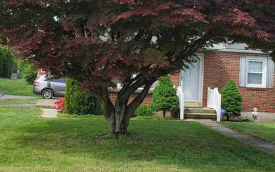 Photo of Nathaniel S.'s yard after getting lawn care in Mountain Top, PA