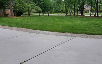 Photo of Andy R.'s yard after getting lawn care in Mesquite, TX