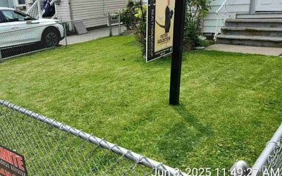 Photo of Charlotte C.'s yard after getting lawn care in Boston, MA