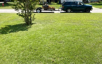 Photo of Alexis R.'s yard after getting lawn care in Colonial Heights, VA