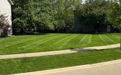 Photo of David P.'s yard after getting lawn care in Aurora, IL