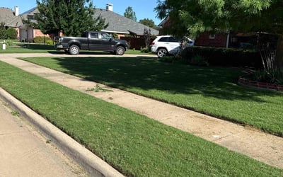 Photo of Christine K.'s yard after getting lawn care in Middle Village, NY