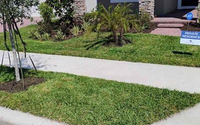 Photo of Corinne G.'s yard after getting lawn care in Kenosha, WI