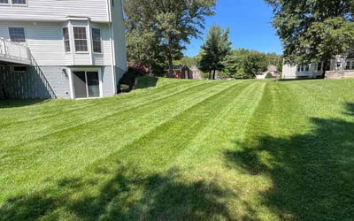 Photo of Rhonda C.'s yard after getting lawn care in Joppa, MD