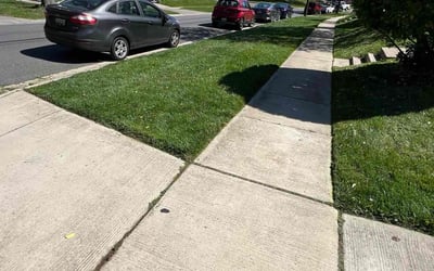 Photo of Nilza L.'s yard after getting lawn care in Corpus Christi, TX