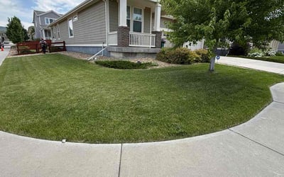 Photo of Kyle M.'s yard after getting lawn care in Fountain, CO