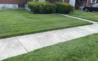 Photo of Randall B.'s yard after getting lawn care in Bentonville, AR