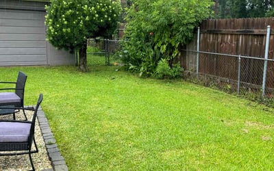 Photo of Gwen S.'s yard after getting lawn care in Del Mar, CA