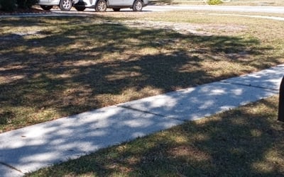 Photo of Lorri S.'s yard after getting tree care in Chandler, AZ