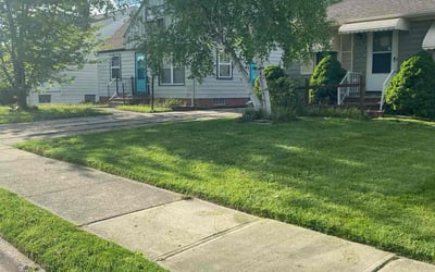 Photo of Channon S.'s yard after getting lawn care in Maple Heights, OH