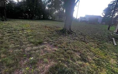 Photo of Jeffrey H.'s yard after getting lawn care in Peabody, MA