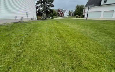 Photo of Gerald R.'s yard after getting lawn care in East Amherst, NY