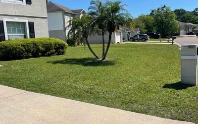 Photo of David S.'s yard after getting lawn care in Inverness, FL
