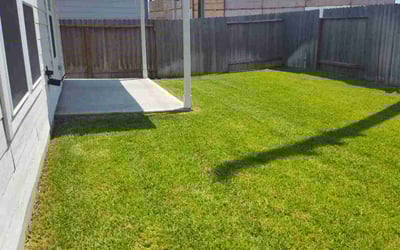 Photo of Thomas B.'s yard after getting lawn care in Easton, PA