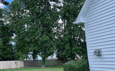 Photo of Lydia C.'s yard after getting lawn care in High Point, NC