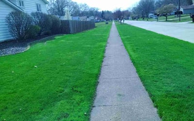 Photo of Jason K.'s yard after getting lawn care in Strongsville, OH