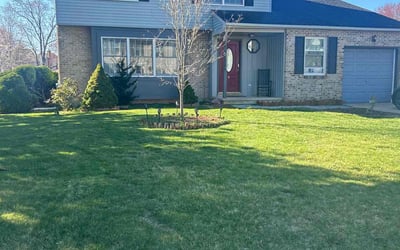 Photo of Tammy M.'s yard after getting lawn care in Claymont, DE
