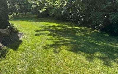 Photo of Solomon S.'s yard after getting lawn care in Pickerington, OH