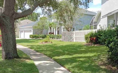 Photo of Amber K.'s yard after getting lawn care in Perry Hall, MD