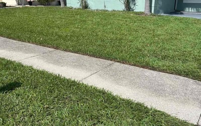 Photo of Joe S.'s yard after getting lawn care in Alpharetta, GA