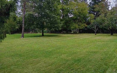 Photo of Shelley V.'s yard after getting lawn care in Newark, NY
