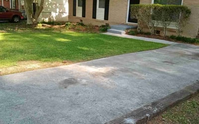 Photo of Bridget R.'s yard after getting lawn care in Collingswood, NJ