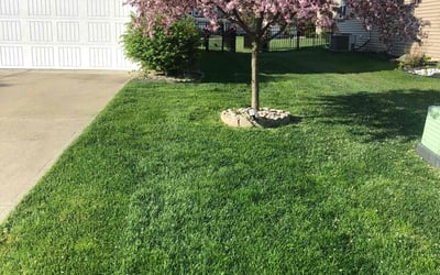 Photo of Seth B.'s yard after getting lawn care in Plainfield, IN