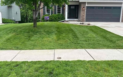 Photo of Michael C.'s yard after getting lawn care in Johnston, IA