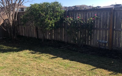 Photo of Karen M.'s yard after getting lawn care in Lockport, NY