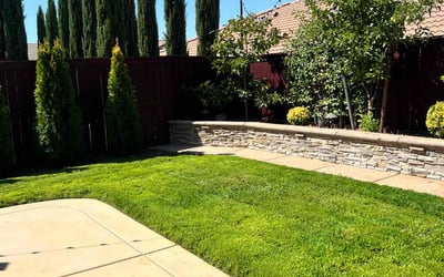Photo of Brooke K.'s yard after getting lawn care in Orangevale, CA