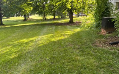 Photo of Alyssa E.'s yard after getting lawn care in Lutherville Timonium, MD
